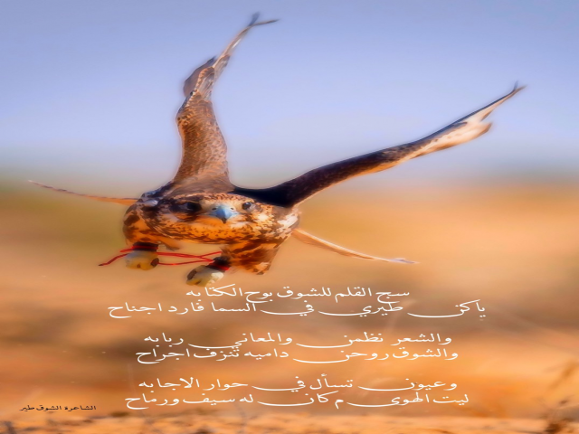 الشوق طير