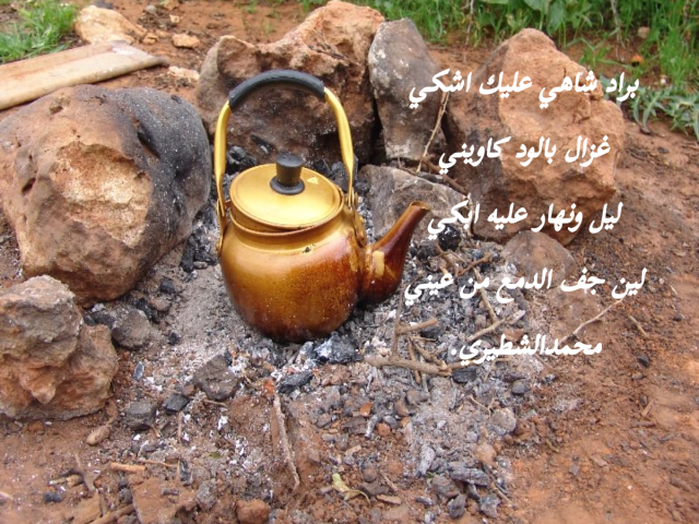 براد شاهي