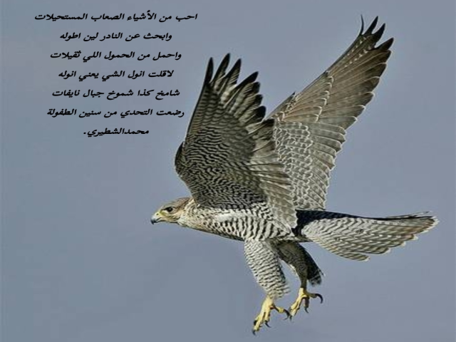 سنين الطفولة
