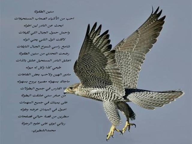 سنين الطفولة
