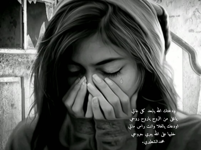 ودعتك الله