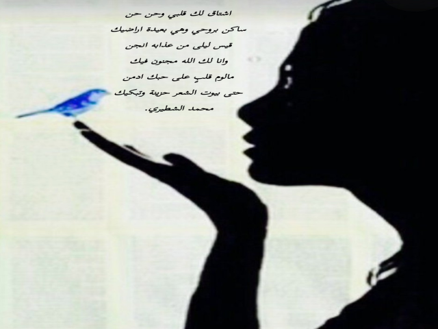 قيس ليلى
