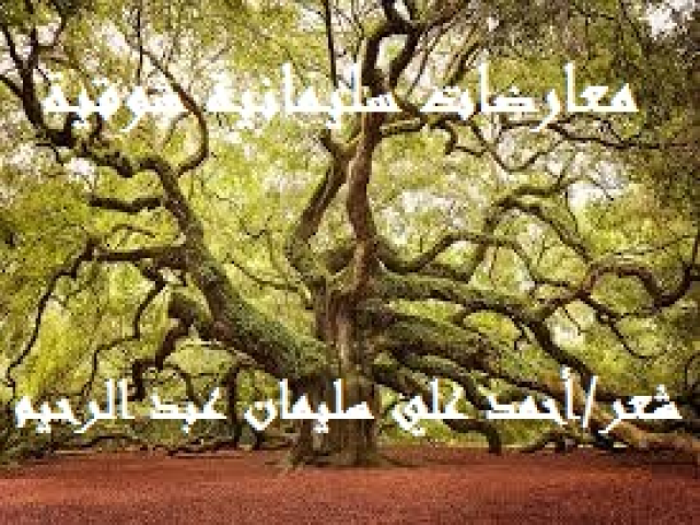 معارضات سليمانية شوقية