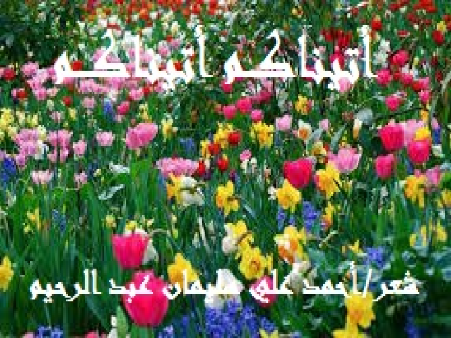 أتيناكـــم أتيناكــــم