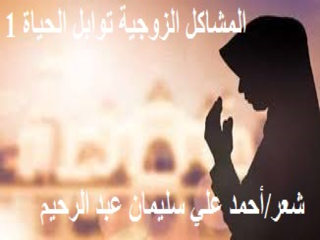 المشاكل الزوجية توابل الحياة 1