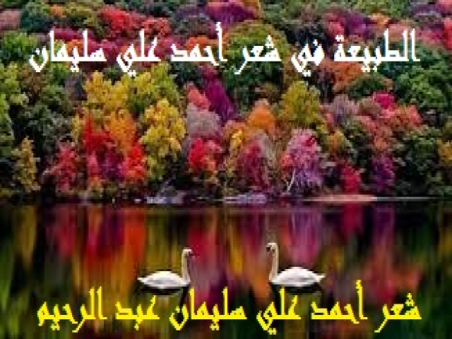 الطبيعة في شعر أحمد علي سليمان!