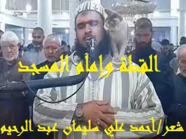 القطة وإمام المسجد - وليد مهساس