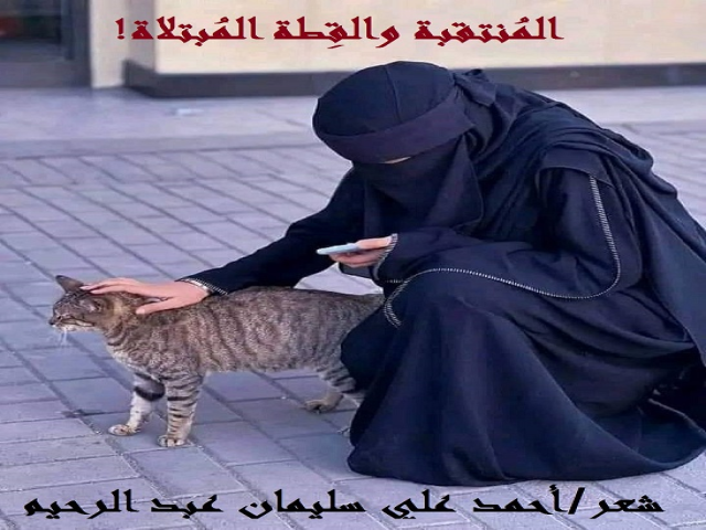 المنتقبة والقطة المبتلاة