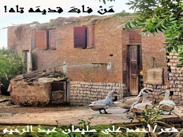 من فات قديمه تاه