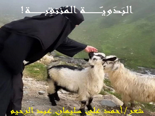 البدوية المنتقبة!