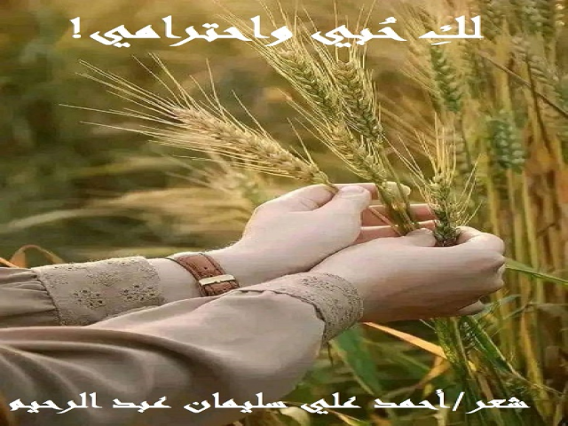 لك حبي واحترامي