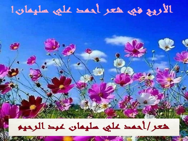 الأريج في شعر أحمد علي سليمان!