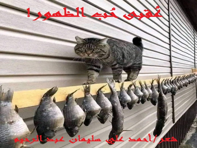 عُقبى حُب الظهور!