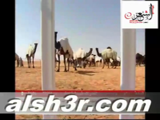 نمر محمد العطاوي_عطايا الله
