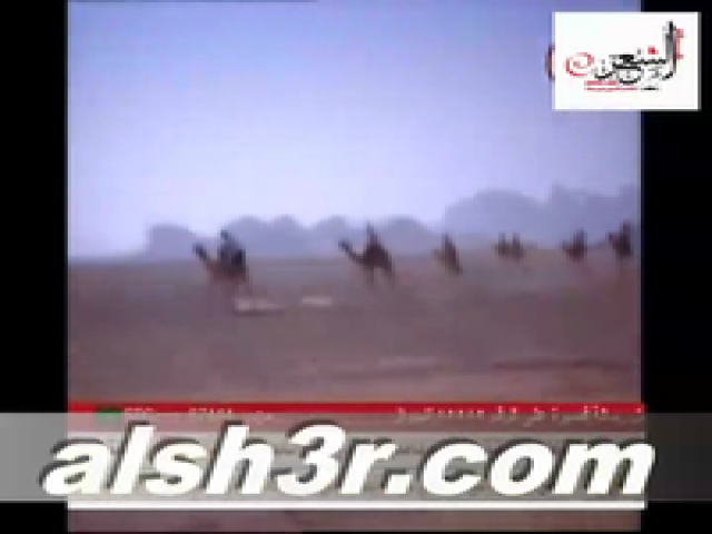 خالد الفيصل_على الركايب