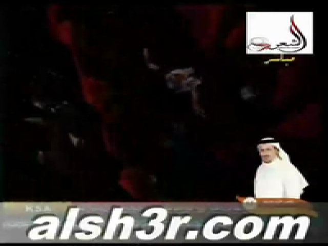 عامر بن عمرو-المجاراه