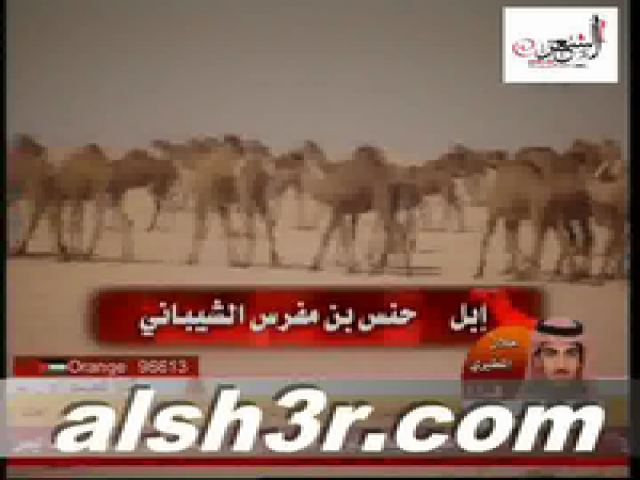محمد سيف ال حميد-هل البل