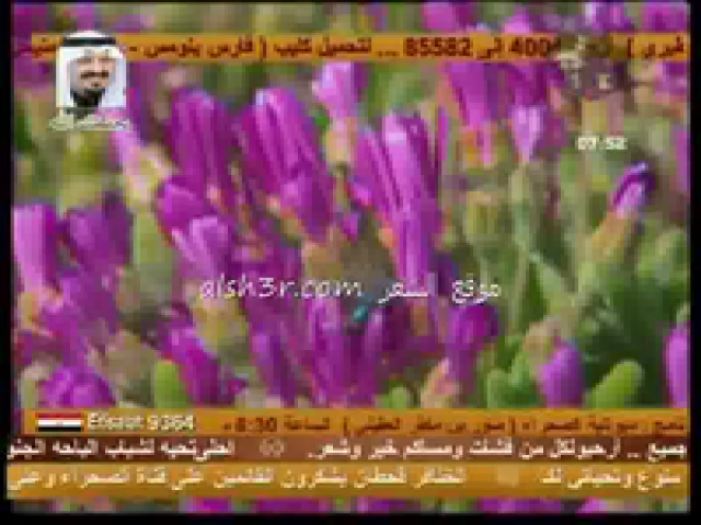 شالح بن هدلان_ياذيب بوصيك
