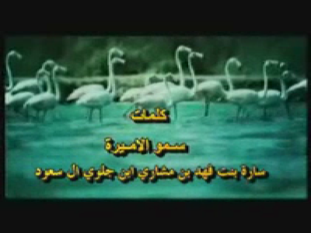 فخر الاجيال_ساره بنت فهد بن جلوي ال سعود