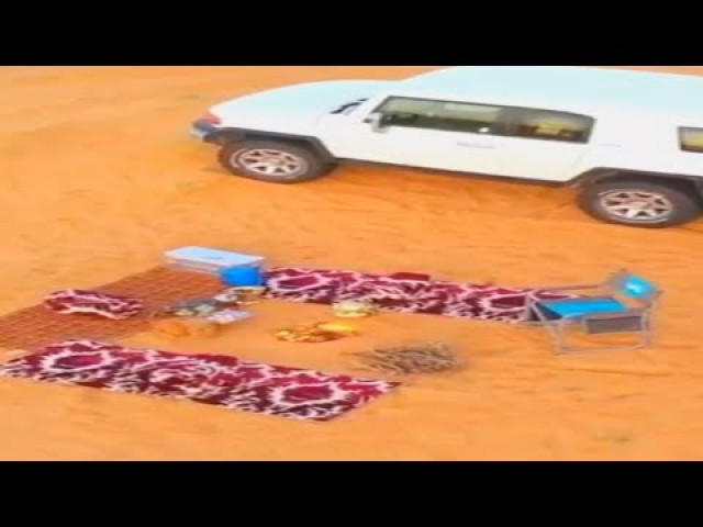 الرفيق السنافي يرتكي للحمول مايشيل الحمول الا ظهور الجمال
