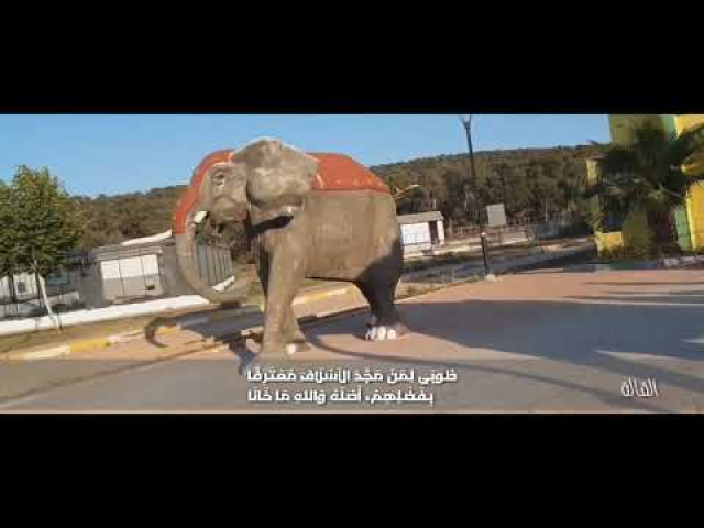 نونية القالة