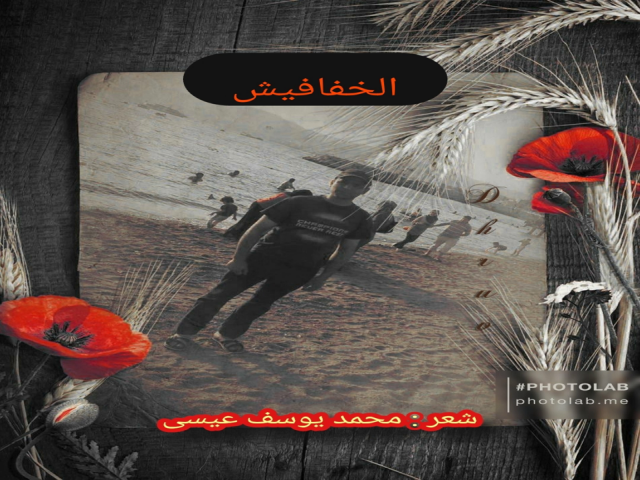الخفافيش