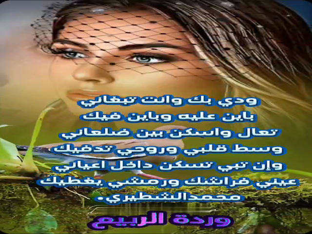 ودي بك