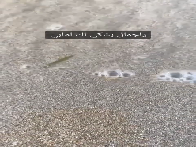 ياجمال بشكي لك امابي