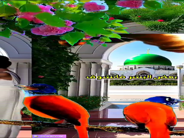 عالم غريبة