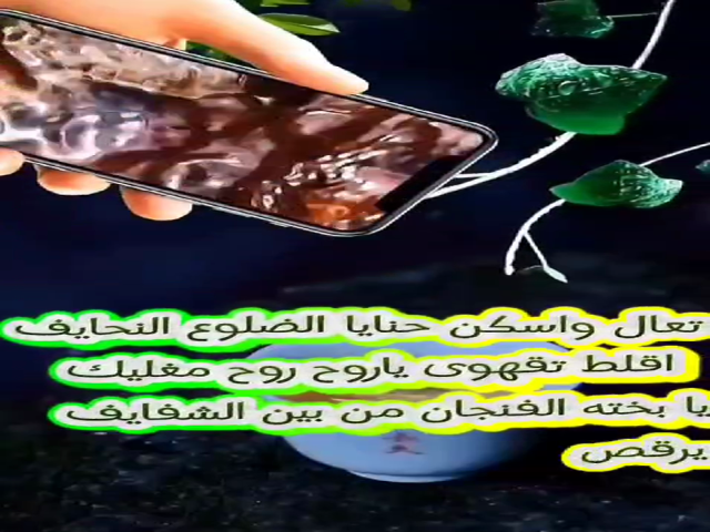 الضلوع النحايف