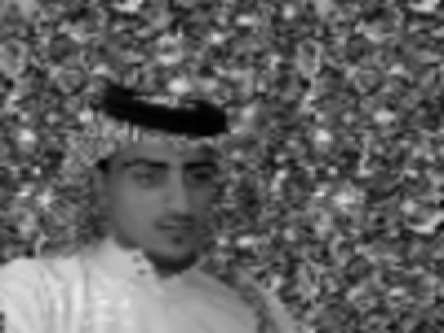 سلطان الشمري