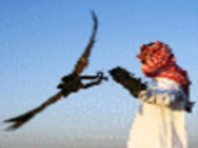 موسى زيد السويداء الخالدي