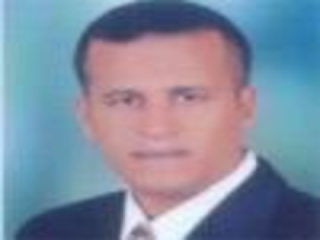 شمس الدين بن المزين