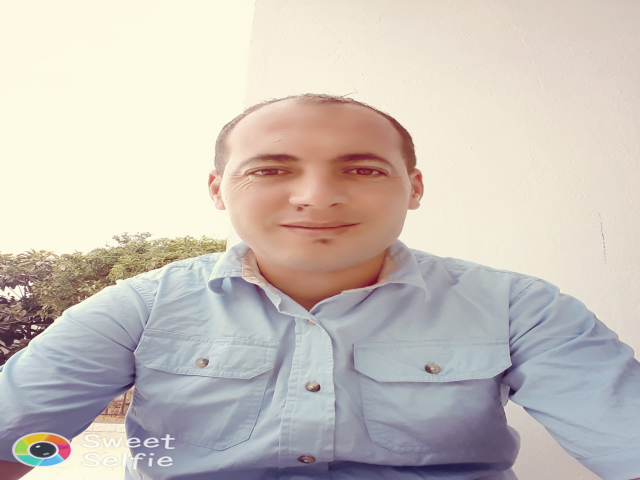 محمد خليل الربيعي