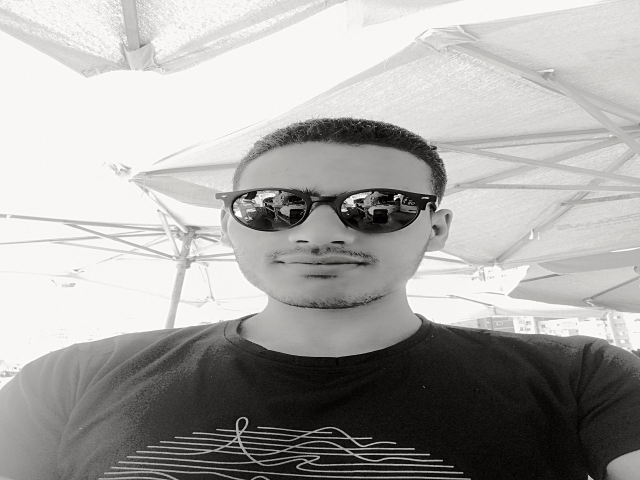محمود أحمد العش